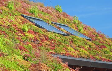 Cockley Hill living roof systems